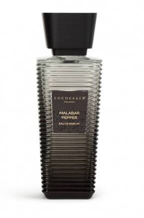 MALABAR PEPPER Eau de parfum Parfumovaná voda pánska, 100 ml